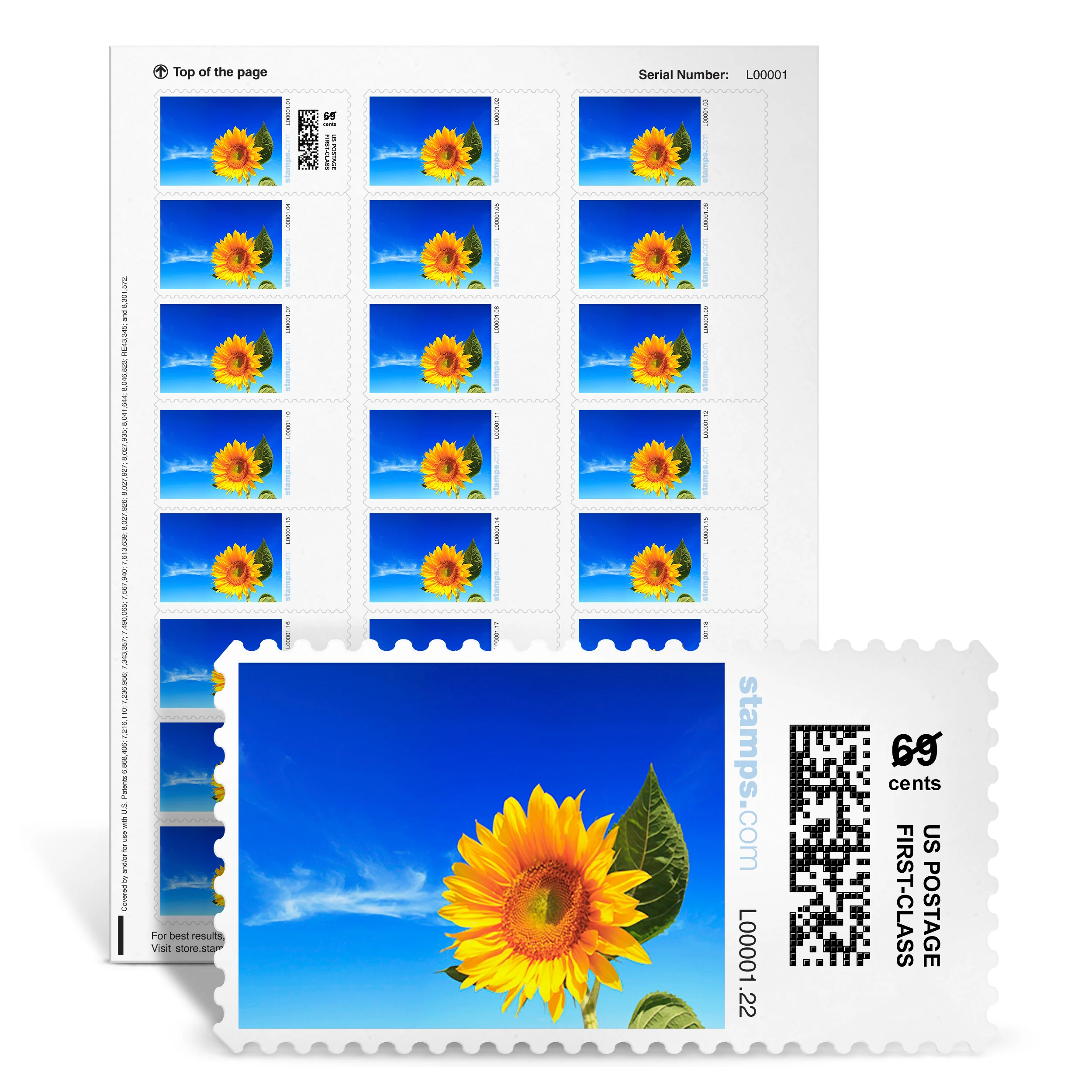 Sunflower Sky NetStamps